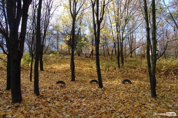 Парк у Луцьку: осіння краса і людська байдужість. ФОТО