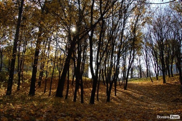 Парк у Луцьку: осіння краса і людська байдужість. ФОТО