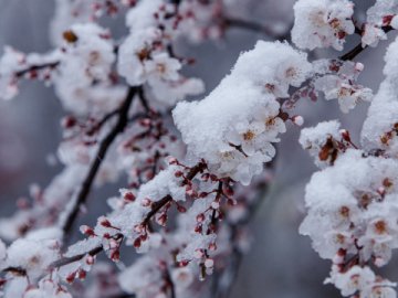 Мокрий сніг та дощ: якою буде погода у Луцьку та Волинській області на Благовіщення