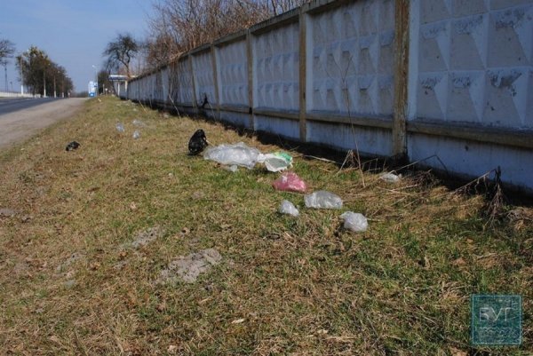 У Володимирі-Волинському хочуть карати штрафами за стихійне сміттєвивезення