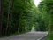 На Волині відкрили новий лісовий автомобільний шлях