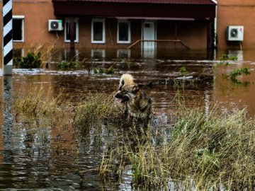 На Херсонщині залишаються підтопленими 46 населених пунктів