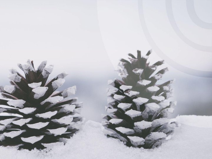 Якою буде погода у Луцьку та на Волині у понеділок, 19 січня