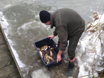 На Волині до водосховища вселили понад 2 тонни цінних видів риб