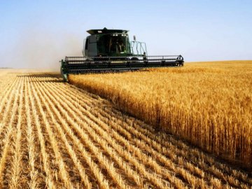 Волинські фіскали  –  у полі: викрили недобросовісних аграріїв