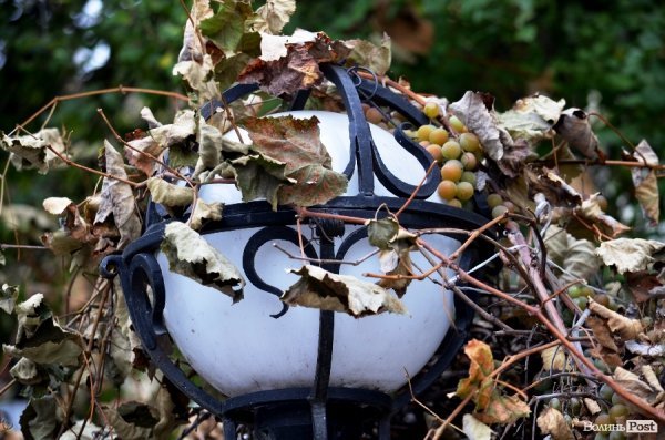 Фотопогляд: вулиця Богдана Хмельницького