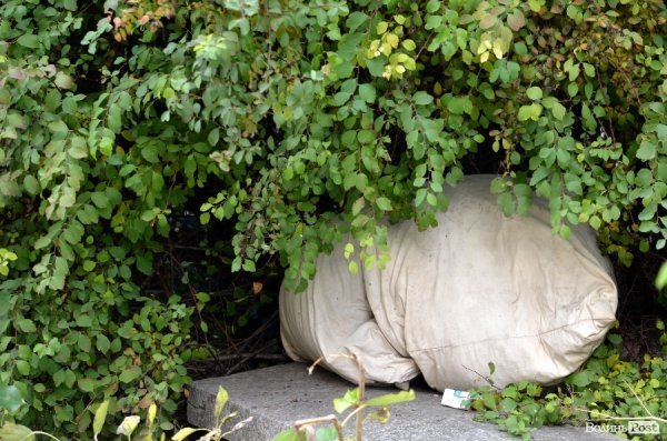 Фотопогляд: вулиця Богдана Хмельницького