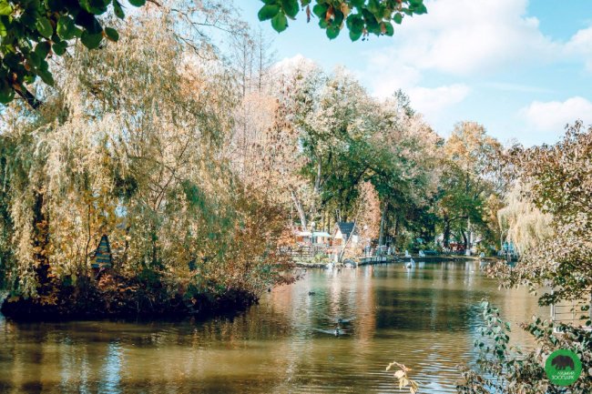 Жовтогаряча осінь у Луцькому зоопарку. ФОТО