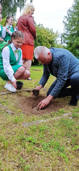 У селі Чаруків висадили алею павловній