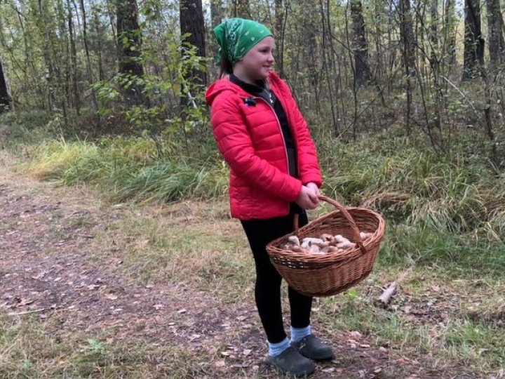 Грибний сезон на Волині: чи є врожай та які ціни в заготівельників