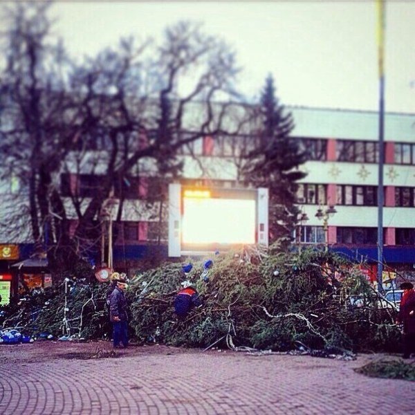 фото із соцмереж