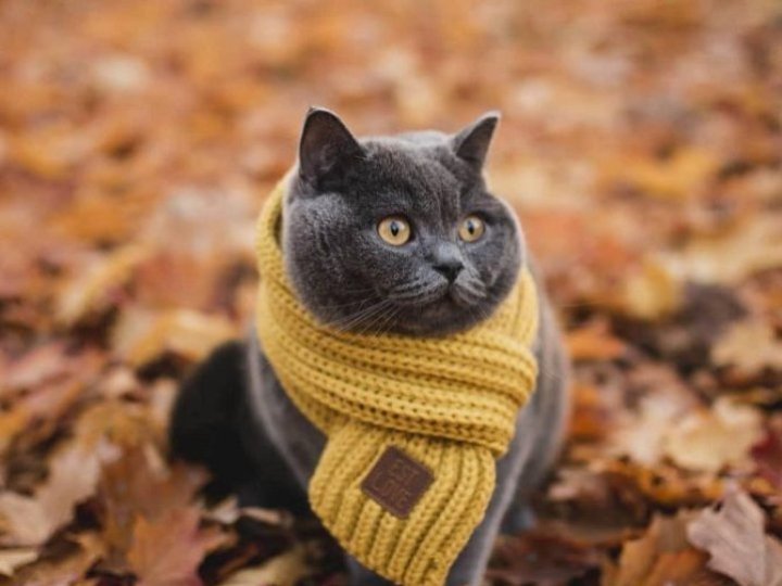 Якою буде погода у Луцьку та на Волині завтра, 14 грудня