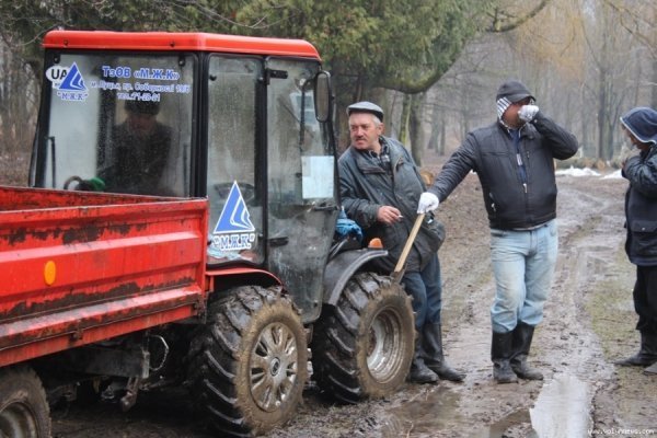 Мер Луцька і працівники «ПриватБанку» насадили дерев в парку. ФОТО