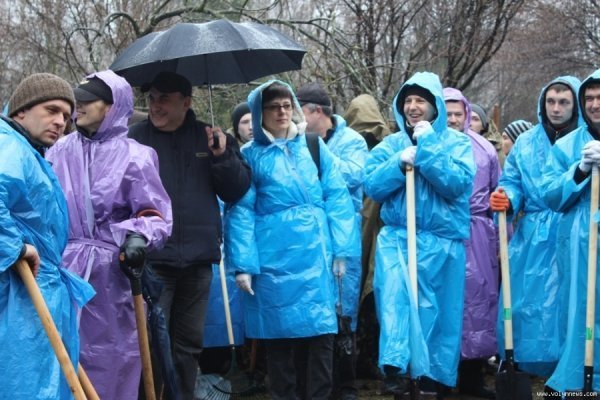 Мер Луцька і працівники «ПриватБанку» насадили дерев в парку. ФОТО