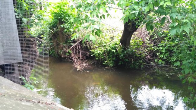 Люди скидають нечистоти у річку на Волині