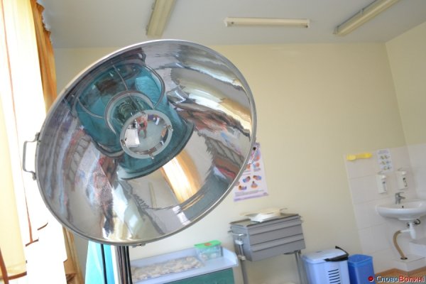 Будні пологового відділення Рожищенської райлікарні. ФОТО