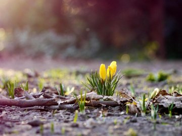 Погода в Луцьку та Волинській області на завтра, 27 березня