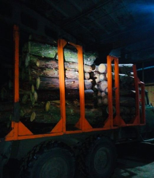 У селі на Волині, де незаконно рубали ліс, люди збунтували проти поліції. ФОТО