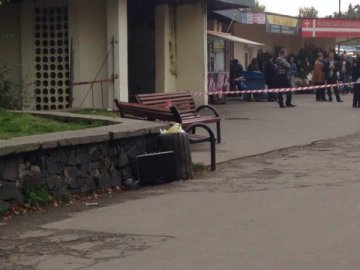 Дочка екс-депутата Луцькради хоче орендувати землю під зупинкою