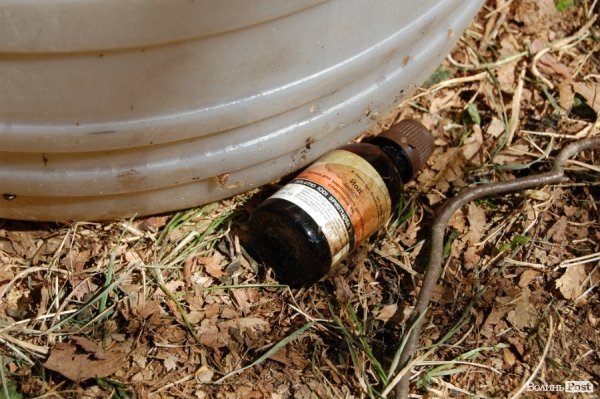 У волинських лісах «воюють» Чорна сотня і сотня Перця. ФОТО 