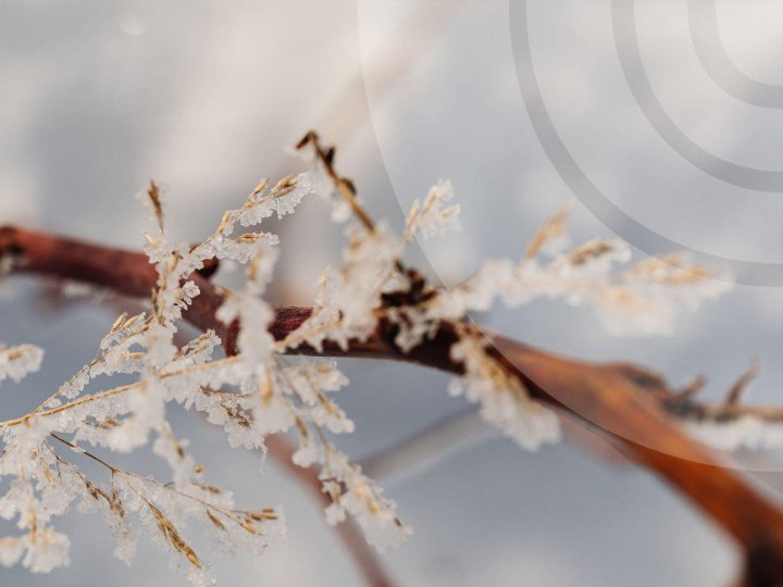 Якою буде погода на Волині у п'ятницю, 30 січня