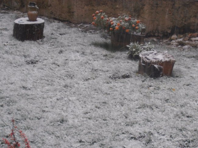 Мокрий і лапатий: на Волині - сніг. ФОТО