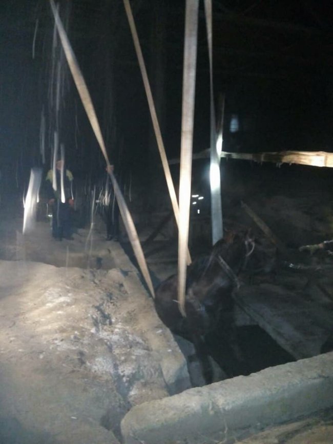 Як на Волині витягали з 2-метрової ями коня