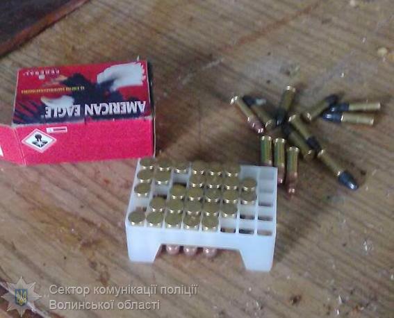 У волинян за добу вилучили 80 набоїв і дві димові гранати 