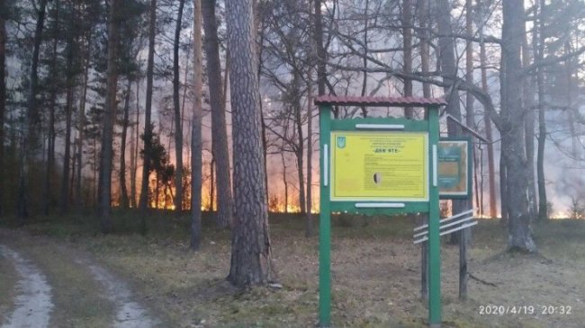 На Великдень невідомі підпалили волинський ліс. ФОТО