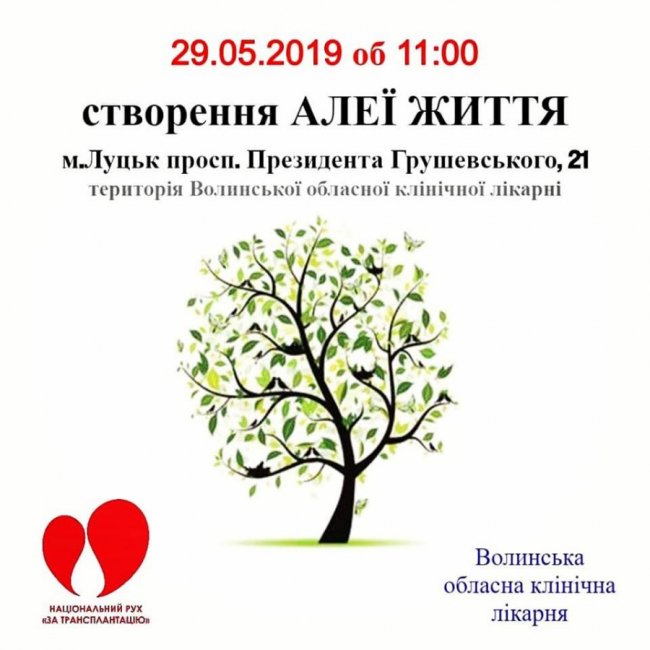 У Луцьку біля лікарні люди з пересадженими органами створять «Алею життя»