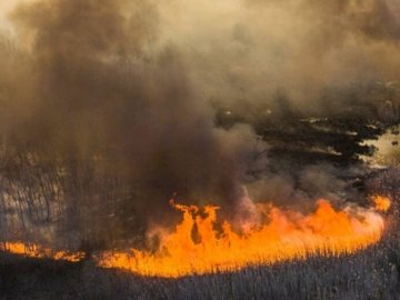 Екологи назвали збитки, завдані РФ навколишньому середовищу Волині