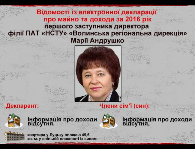 Керівництво найбільшої телекомпанії Волині опублікувало власні статки