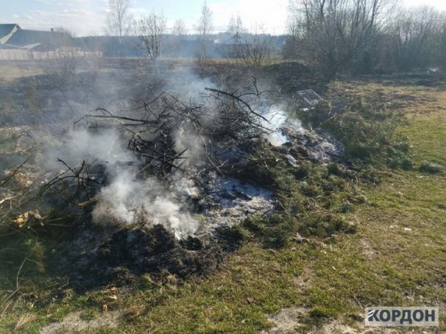 У місті на Волині  через спалювання трави ледь не згоріло кладовище. ФОТО