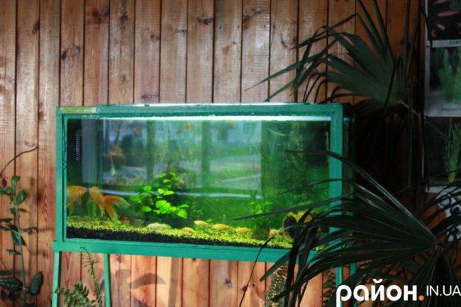 Показали, як «живе» креативна сільська школа на Волині. ФОТО