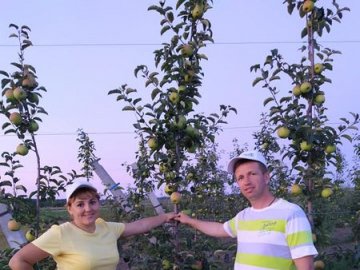 Смачний перекус: сім'я із Ковельщини готує енергетичні набори для захисників 