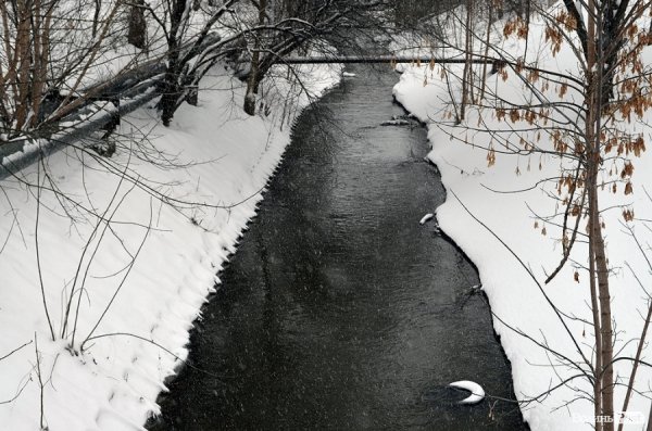 Луцьк знов у снігу. ФОТО