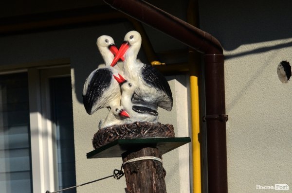 Фотопогляд: проспект Перемоги