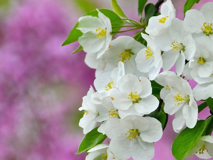 Погода в Луцьку та Волинській області на завтра, 11 травня