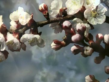 Яке свято 17 травня і чого не можна робити у цей день