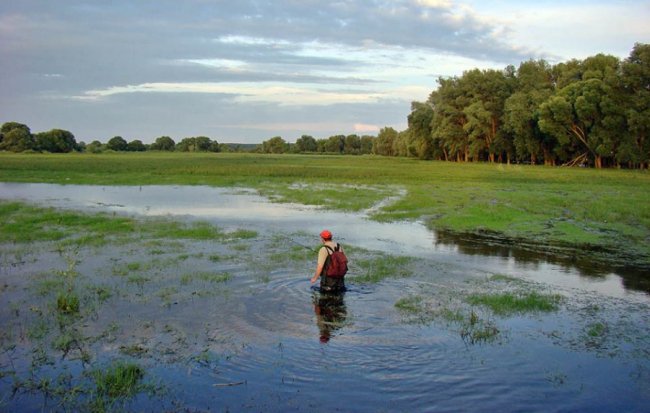Волинський фотограф показав неймовірну природу Волині у різні пори року. ФОТО