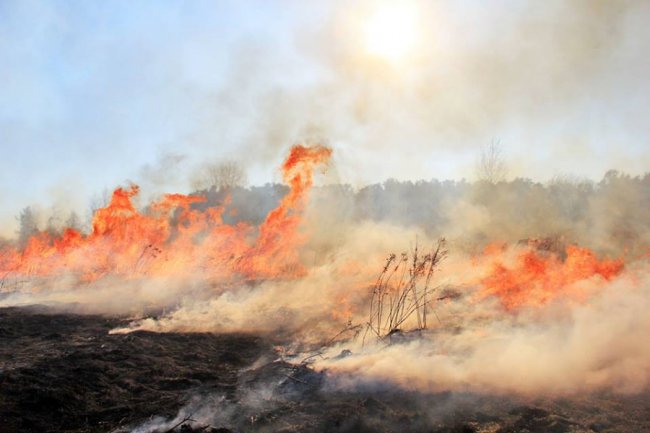 Волинський фотограф показав неймовірну природу Волині у різні пори року. ФОТО