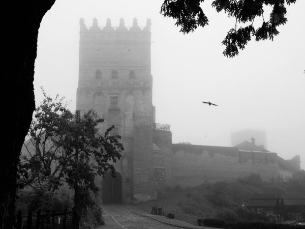 Фотовиставка Ніни Ліщук