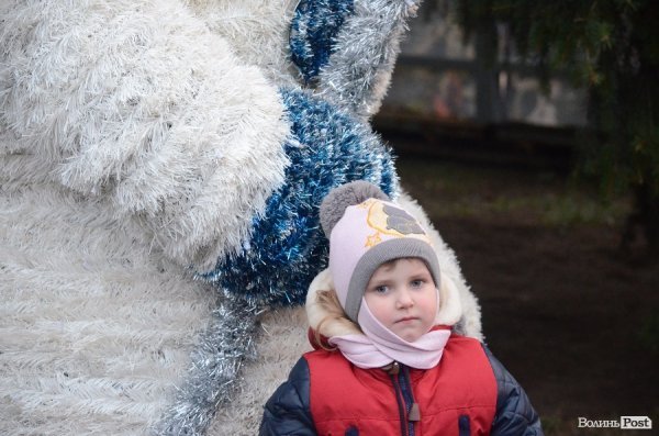 У Луцьку запалили новорічну ялинку. ФОТО