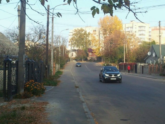 У Луцьку комунальники 5 днів не забирають з вулиці мертвого пса