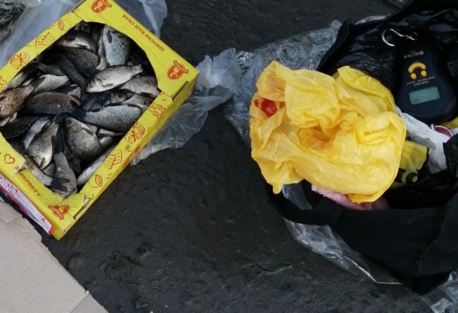 У Любомлі на ринку жінка незаконно продавала рибу