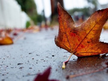 Синоптик розповіла, якою буде погода в Україні на цьому тижні