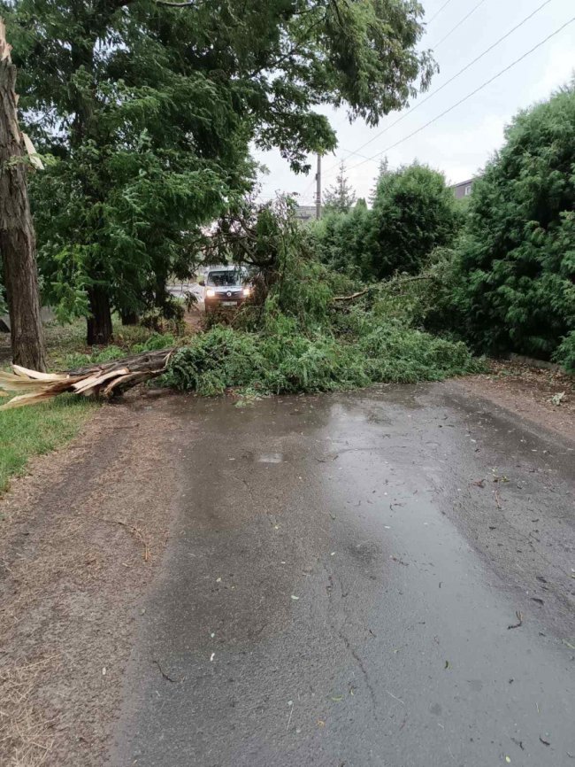 У місті на Волині ліквідовують наслідки негоди. ФОТО