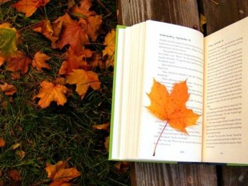 Погода в Луцьку та Волинській області на четвер, 24 жовтня