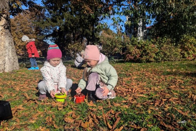 Допомога ЗСУ: луцькі дітлахи зібрали понад 10 тонн каштанів