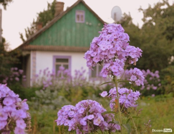 Добре мати хатку у Теремно )